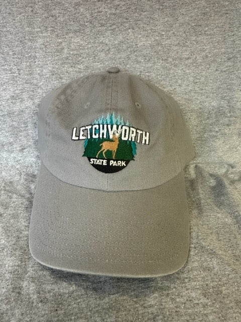 Letchworth Ball Cap - Gray